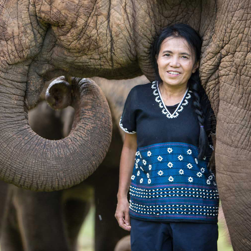 Lek with elephants